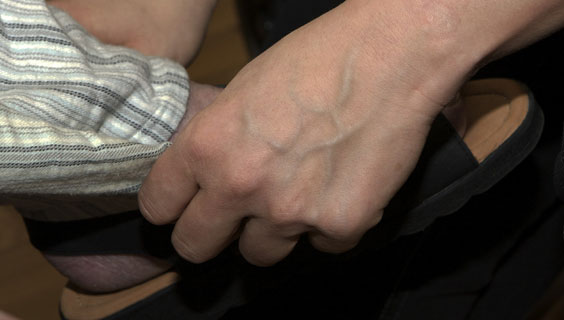 Erhvervsskoleelevfejring